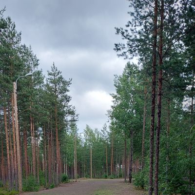 Väylä 15