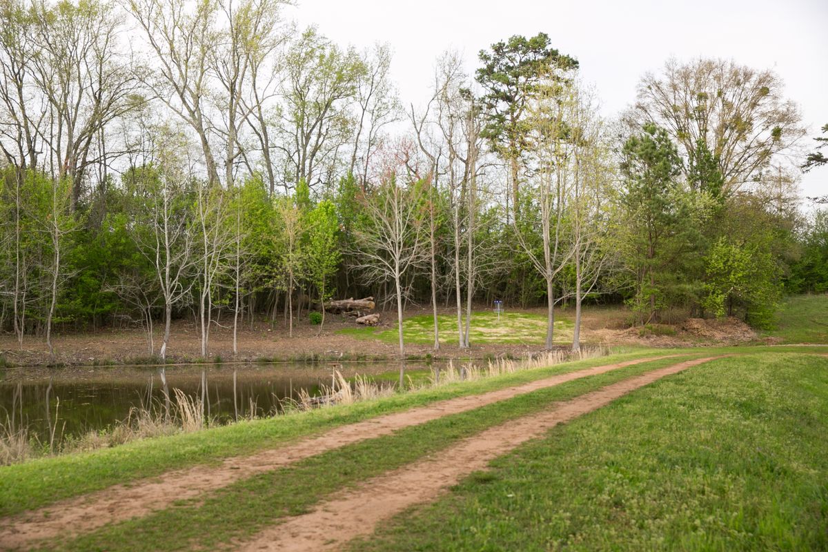 Hole 6