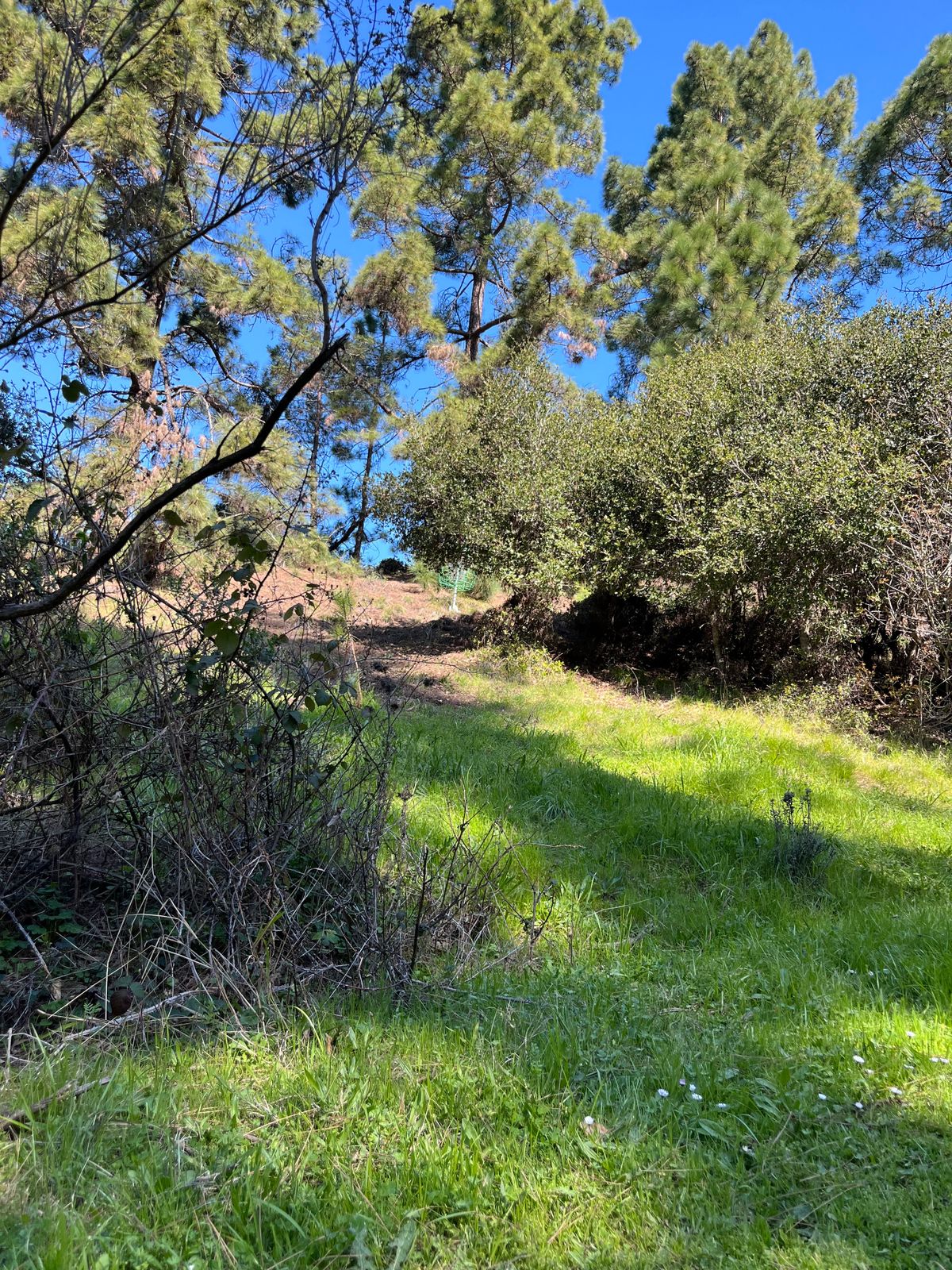 Green basket on 5 wayyyy up the hill.