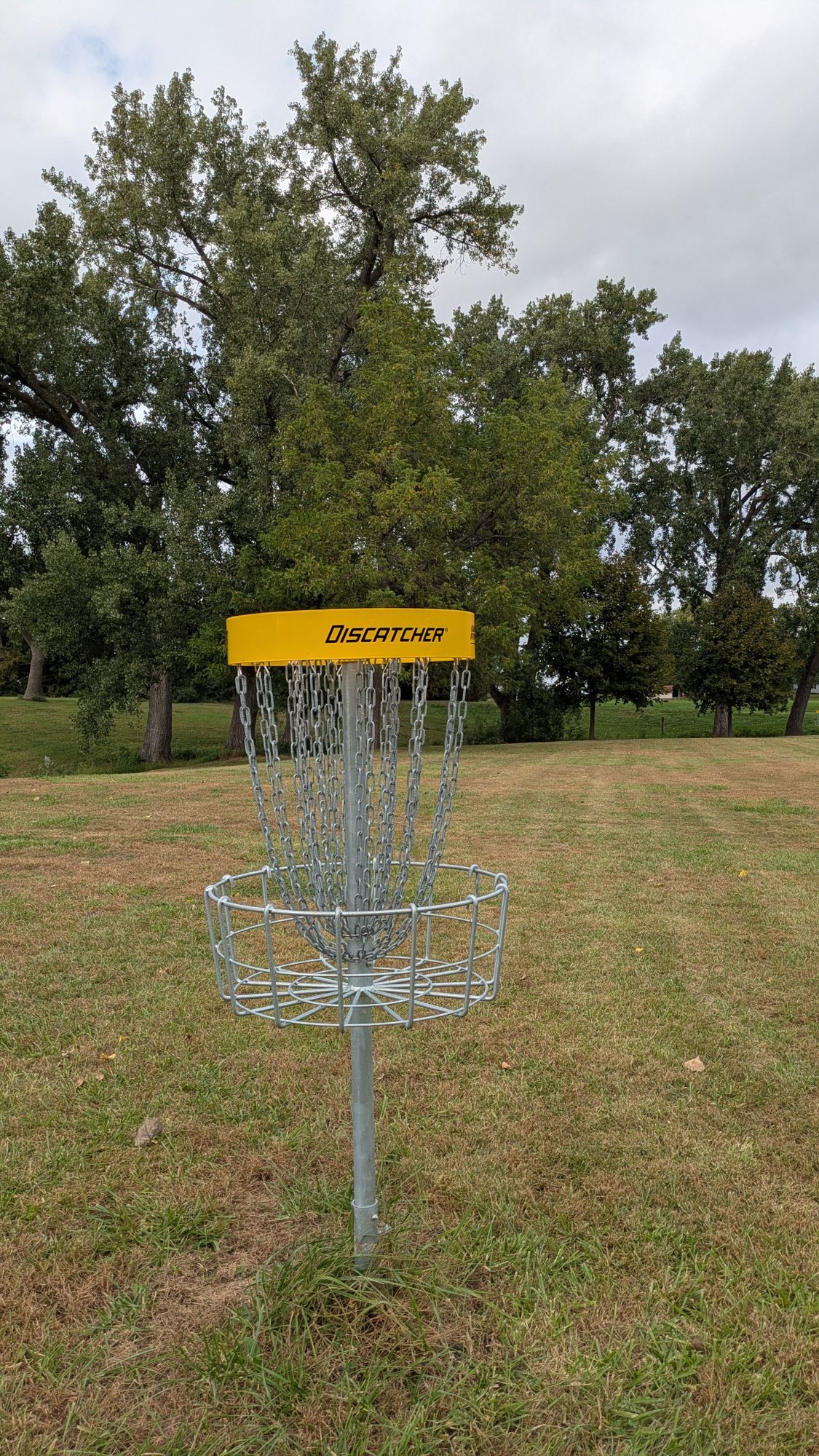 Basket 5