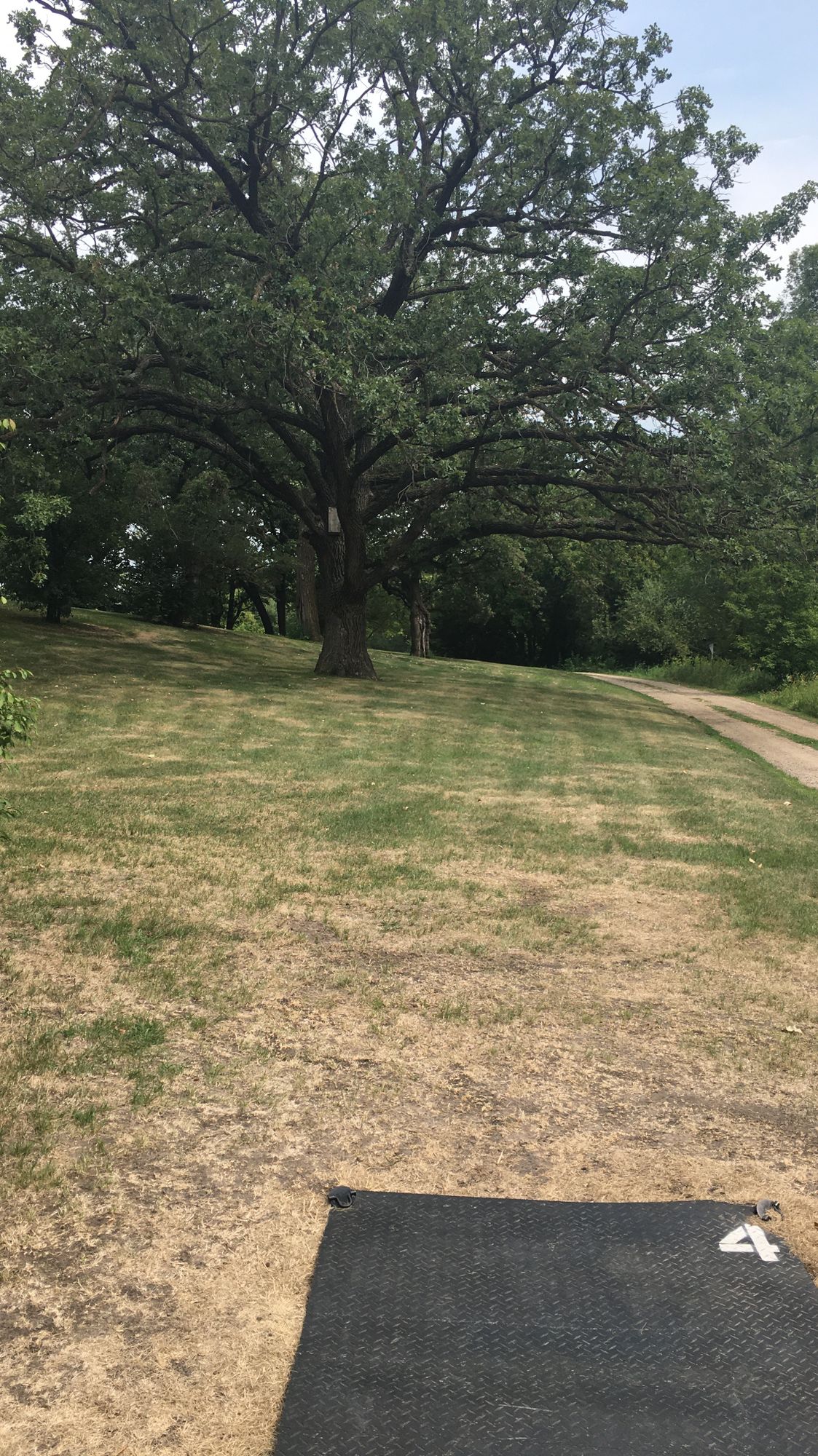 Hole 4 fairway