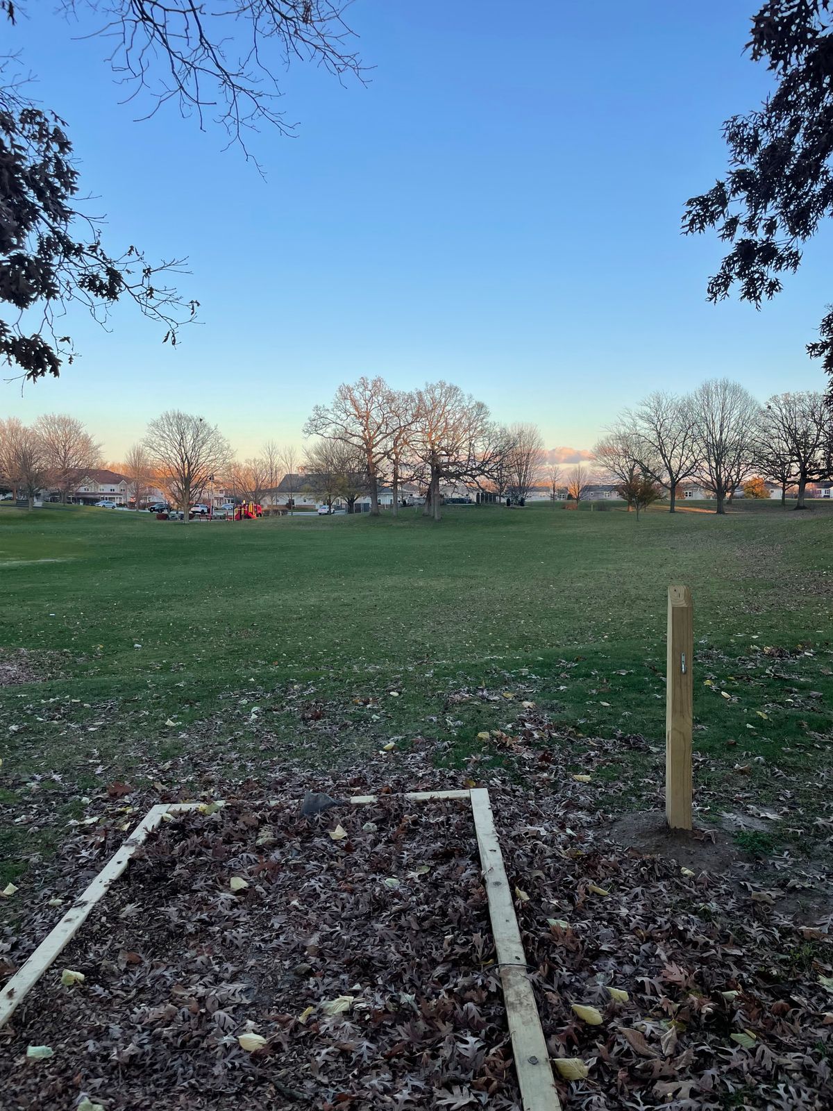 Hole 1– basket in trees