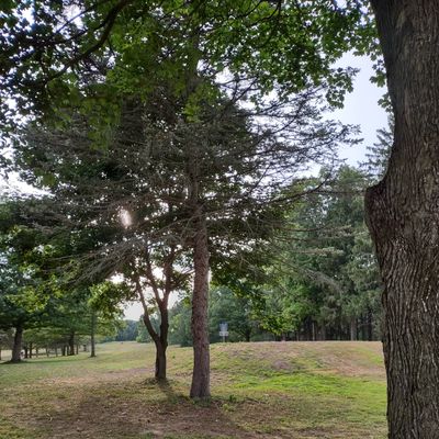 Hole 10 approach