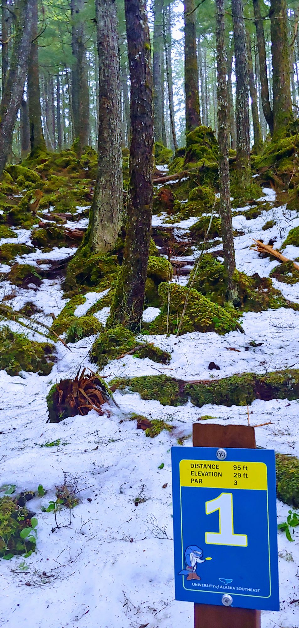 Crampons needed to play during the winter months.