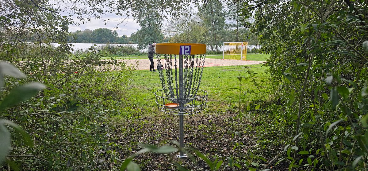 12 - basket