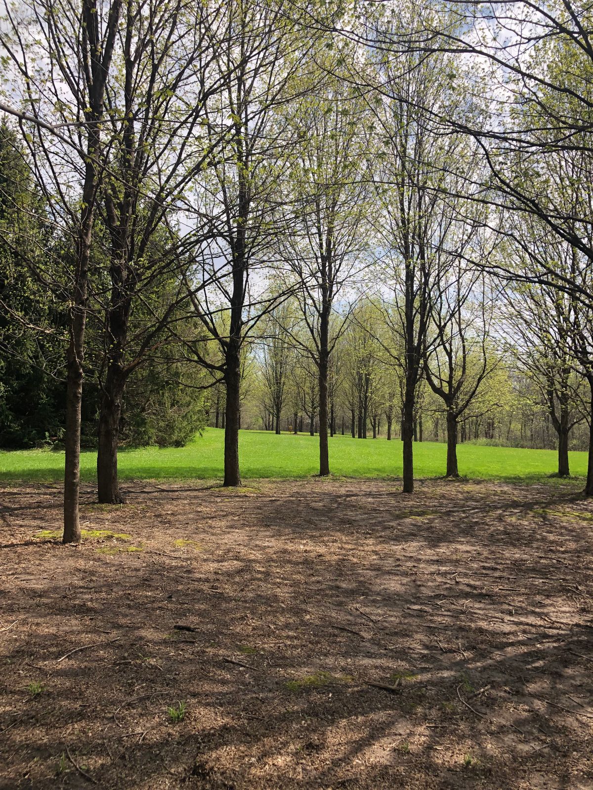 Hole 3 teepad