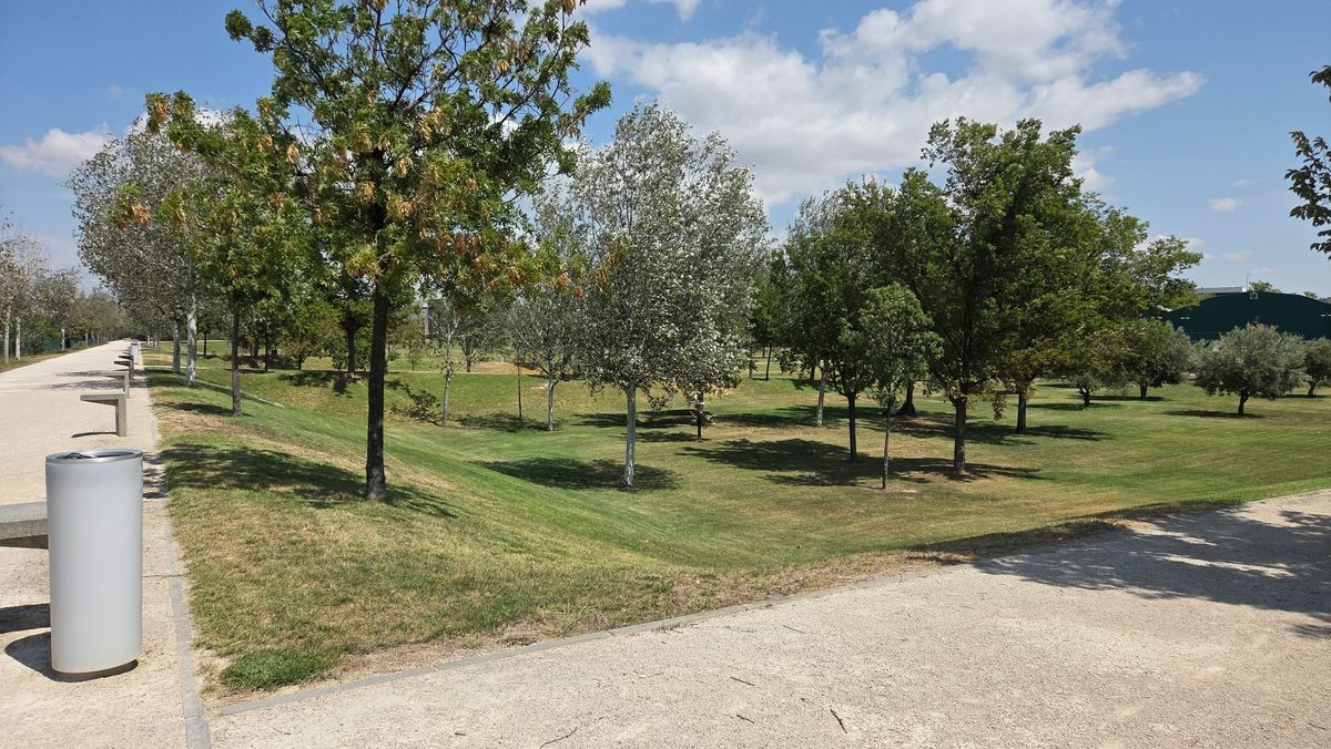 Hole no. 5