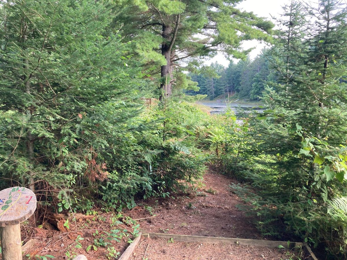 Tee #1. Hyzer shot over the lake.