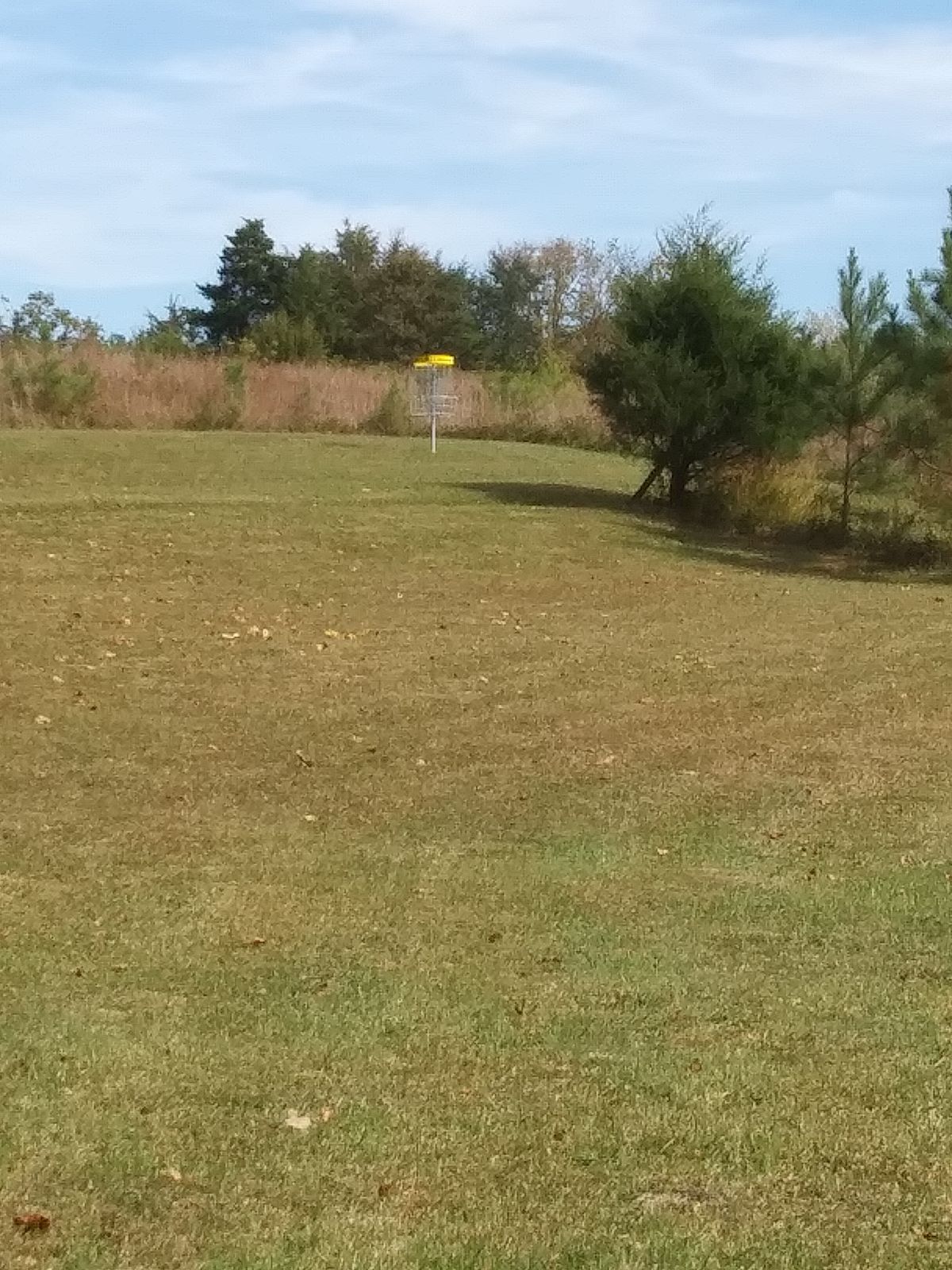 Hole 8 landing area to basket
