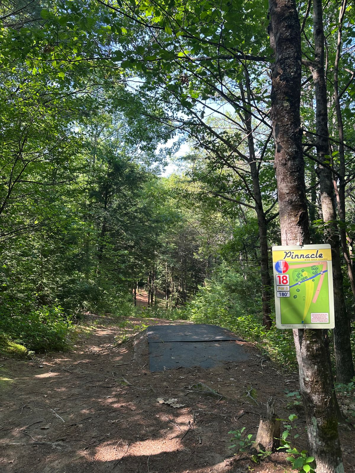 Tee pad 18