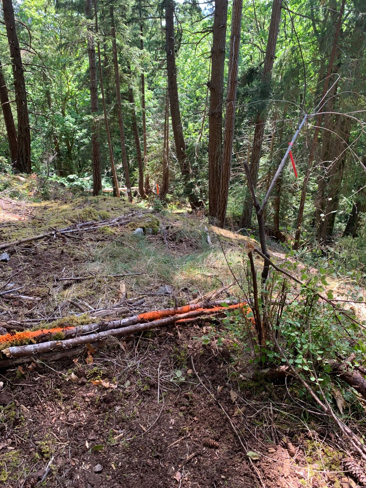 Hole 10 back