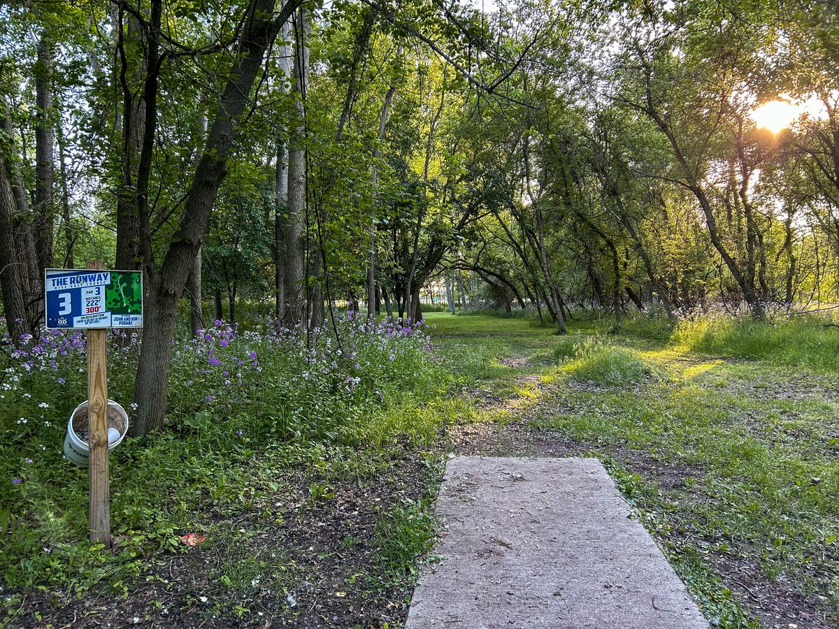 Hole 3 - great round today!