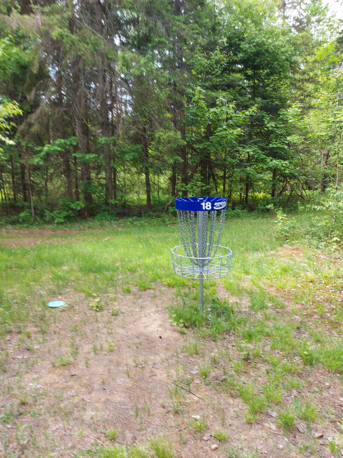 Putting on 18 🌲🌲🌲🌲