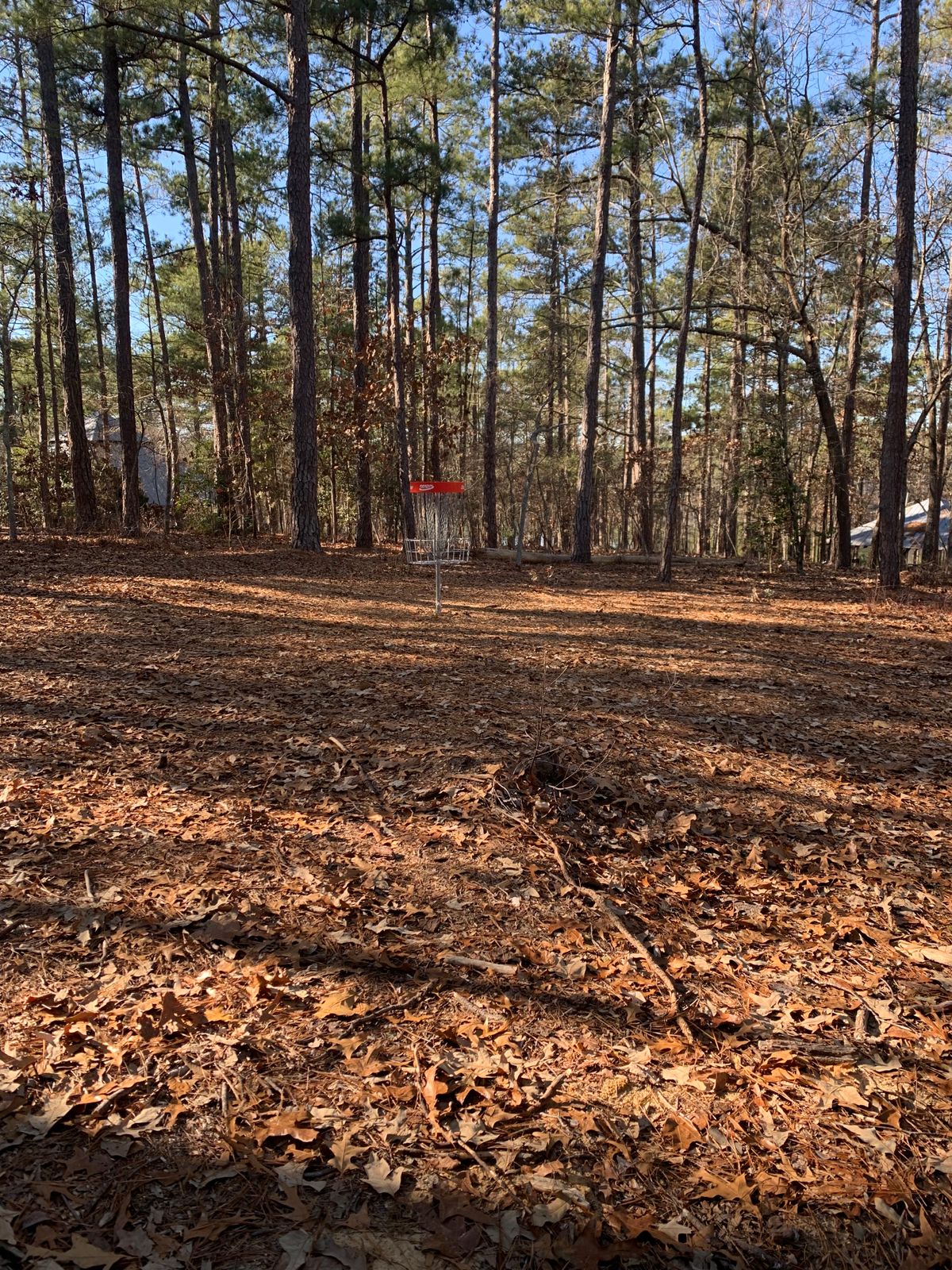 New putting basket