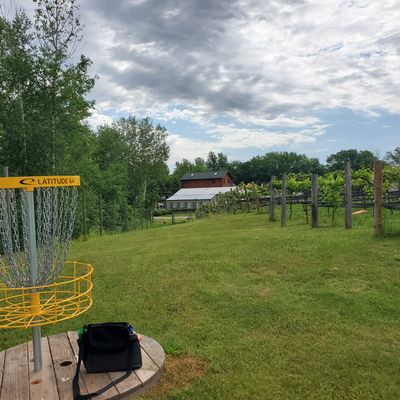 Hole 1 view from basket to tee