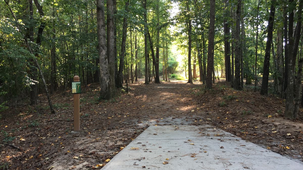 Hole 11