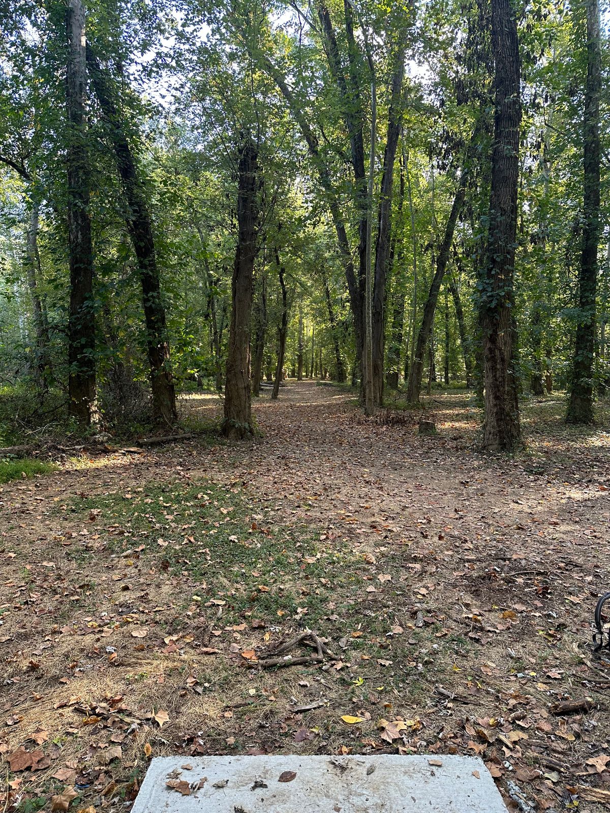 Hole 5