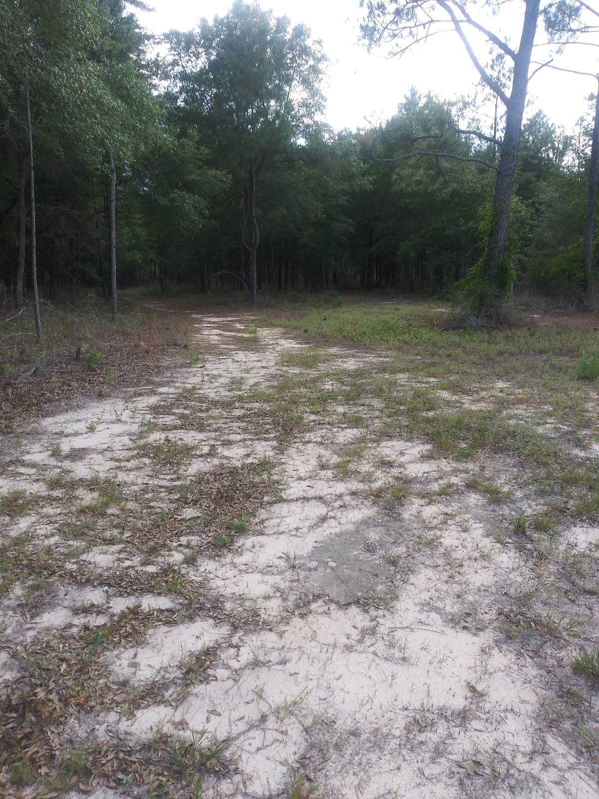 8th curve to left