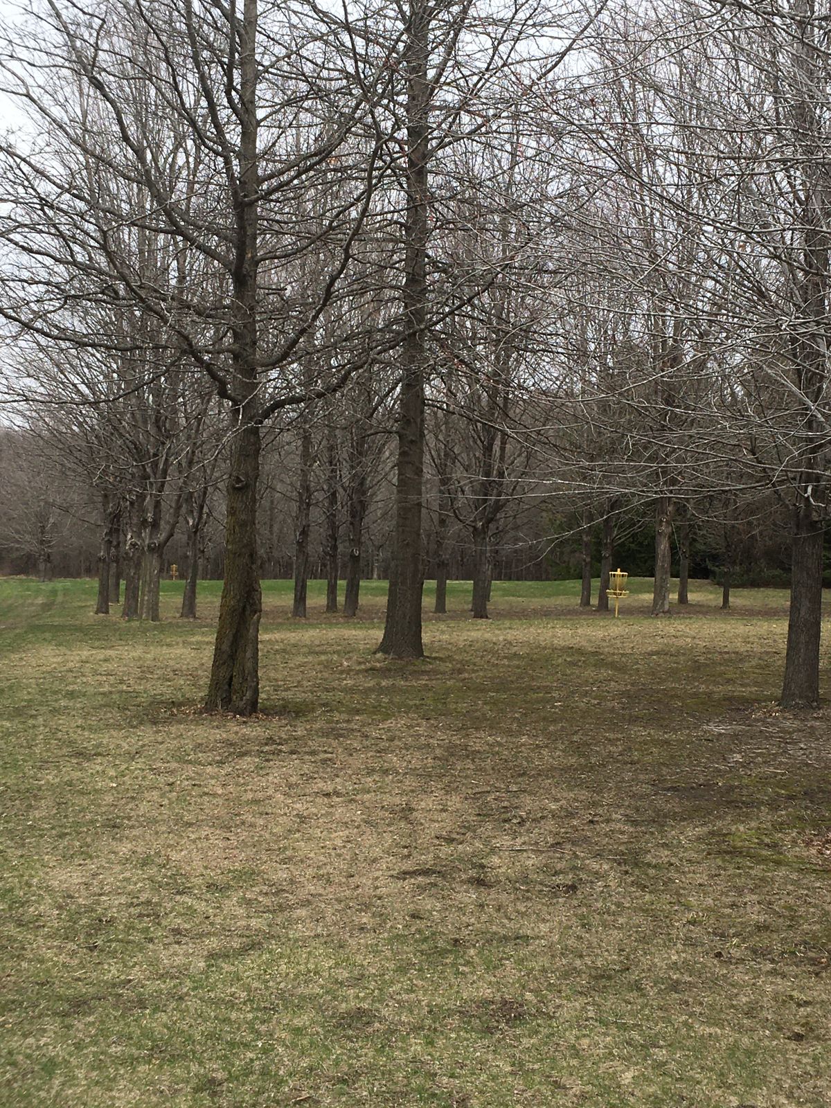 Holes 2 & 3
