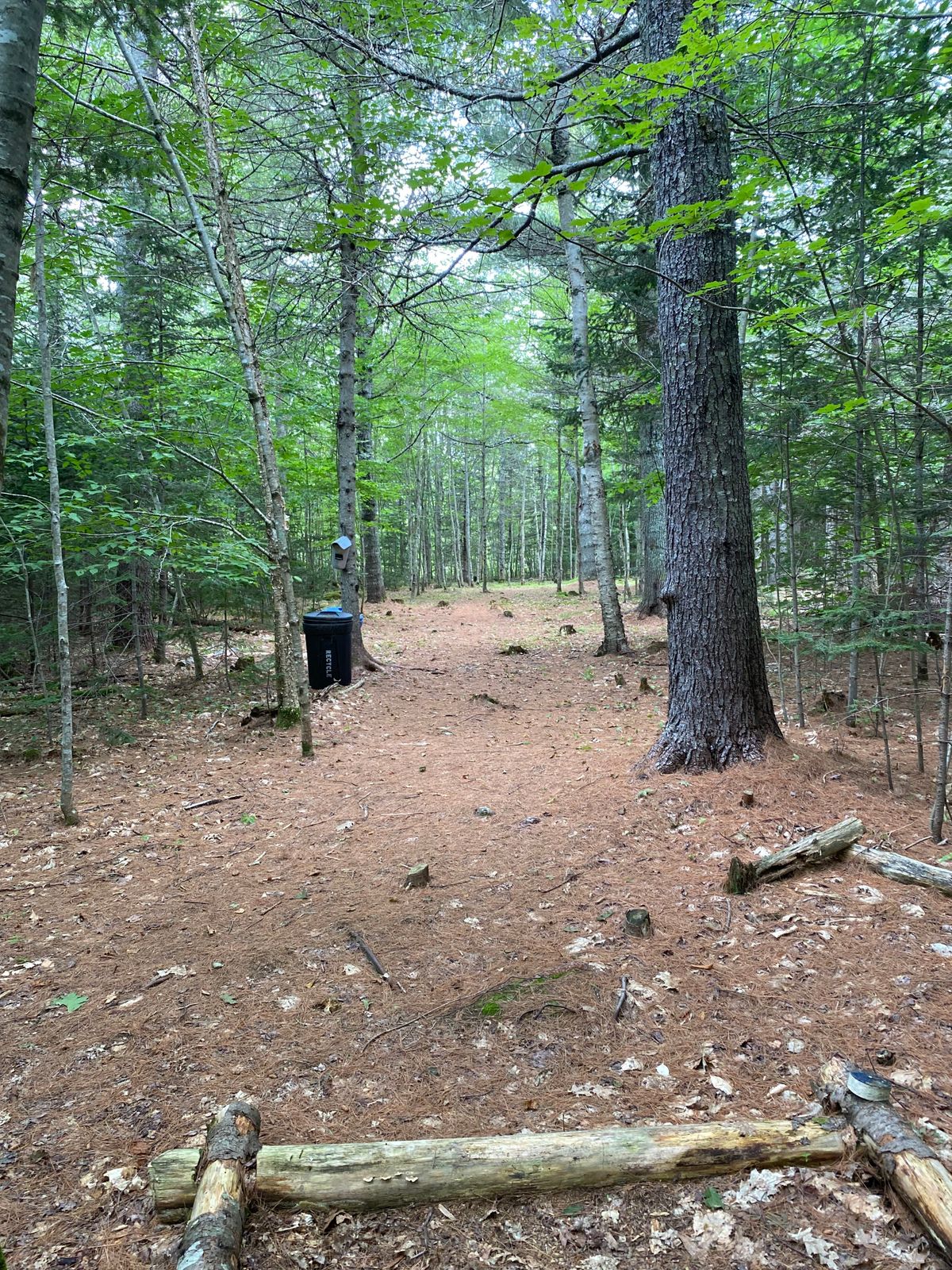 Hole 5