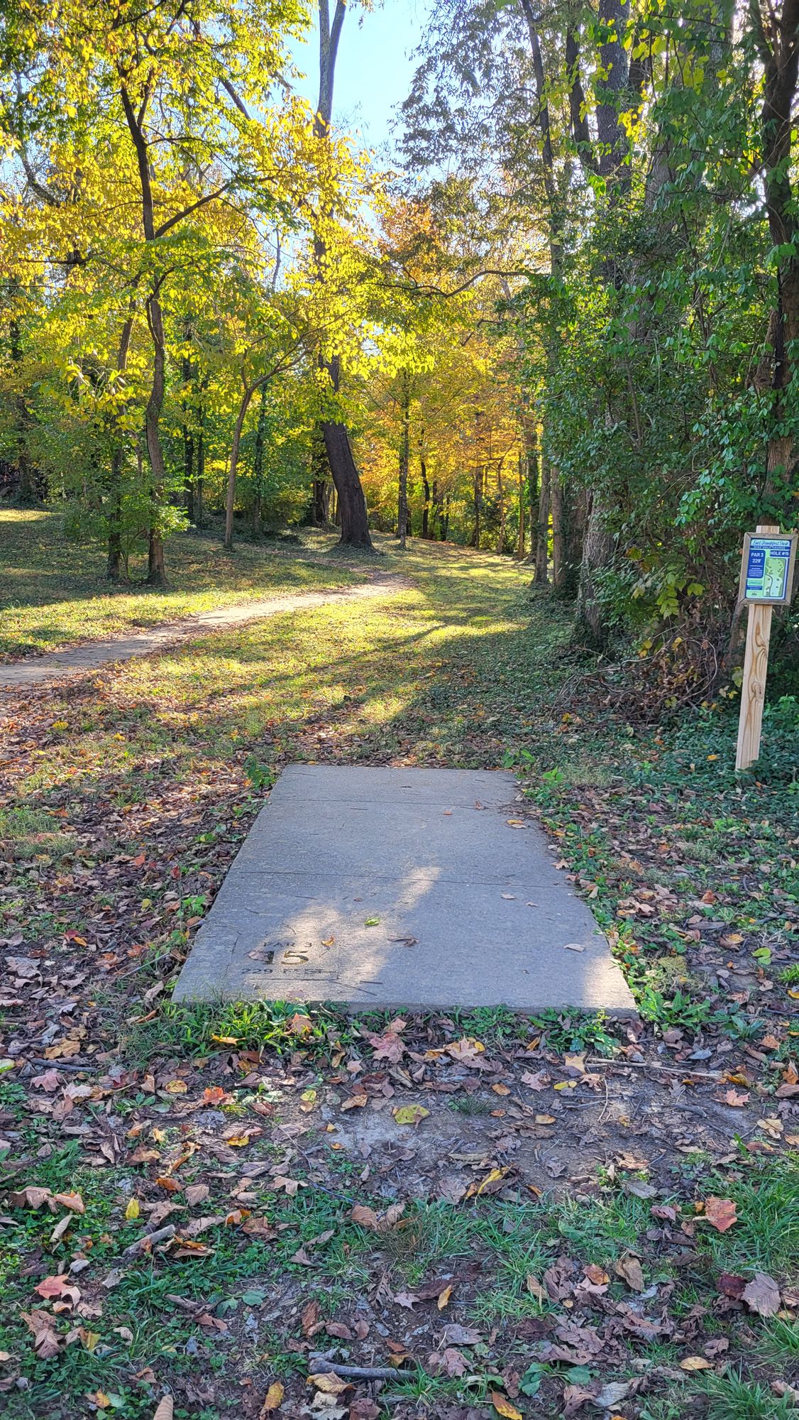 Hole 15 tee pad