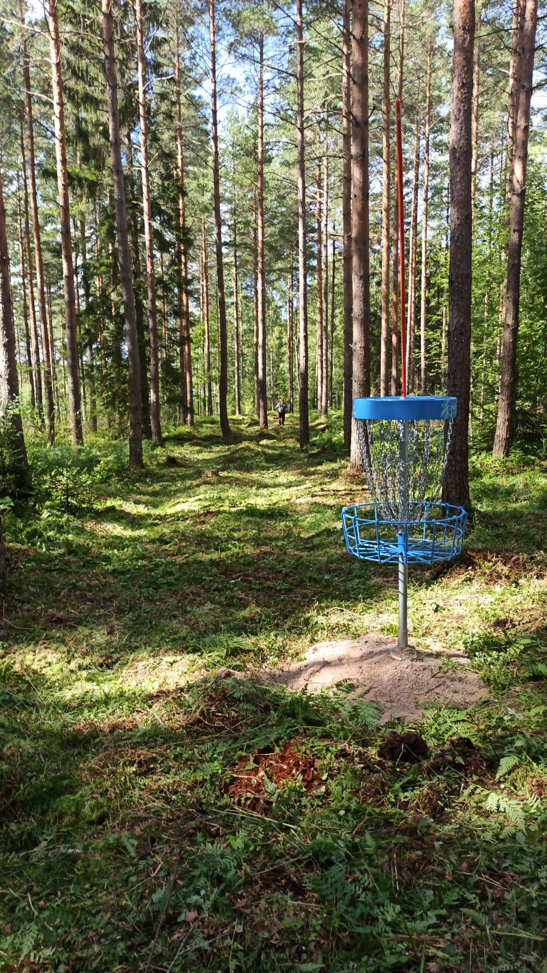 Väylä 15 korin takaa teeboksia päin