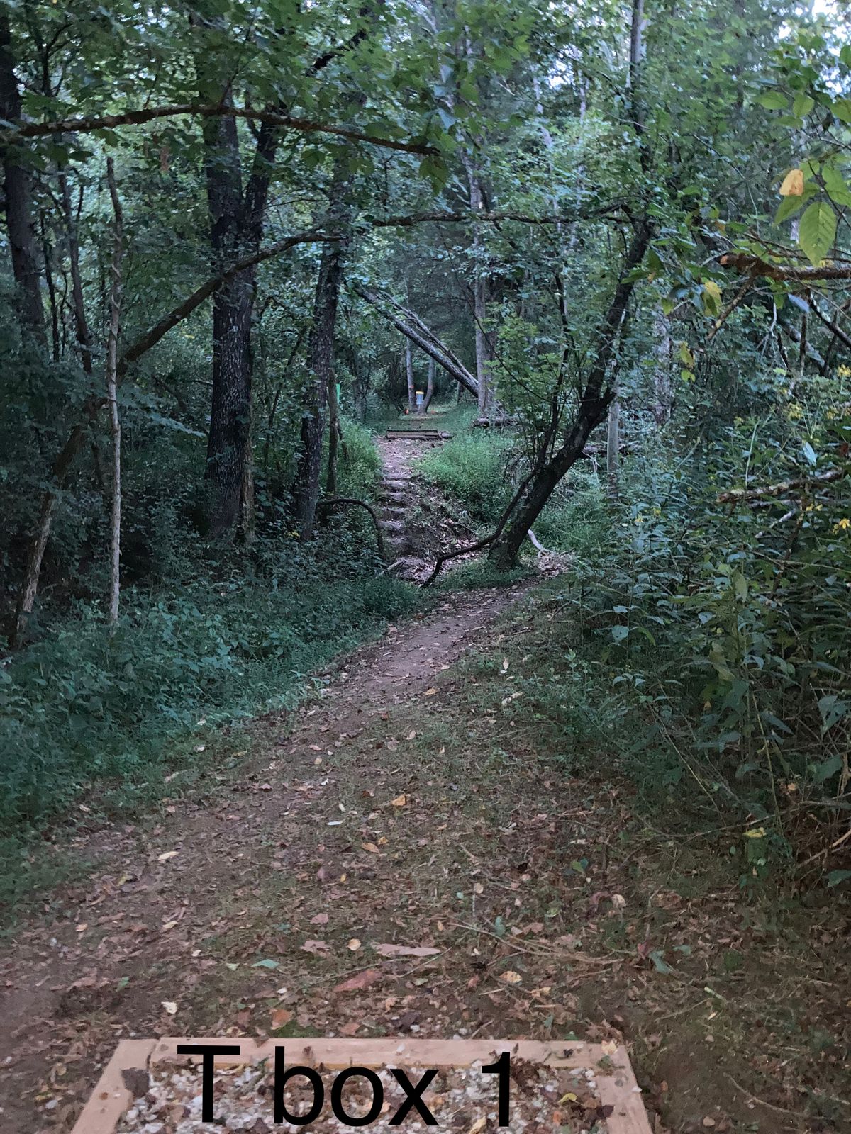 Hole 16