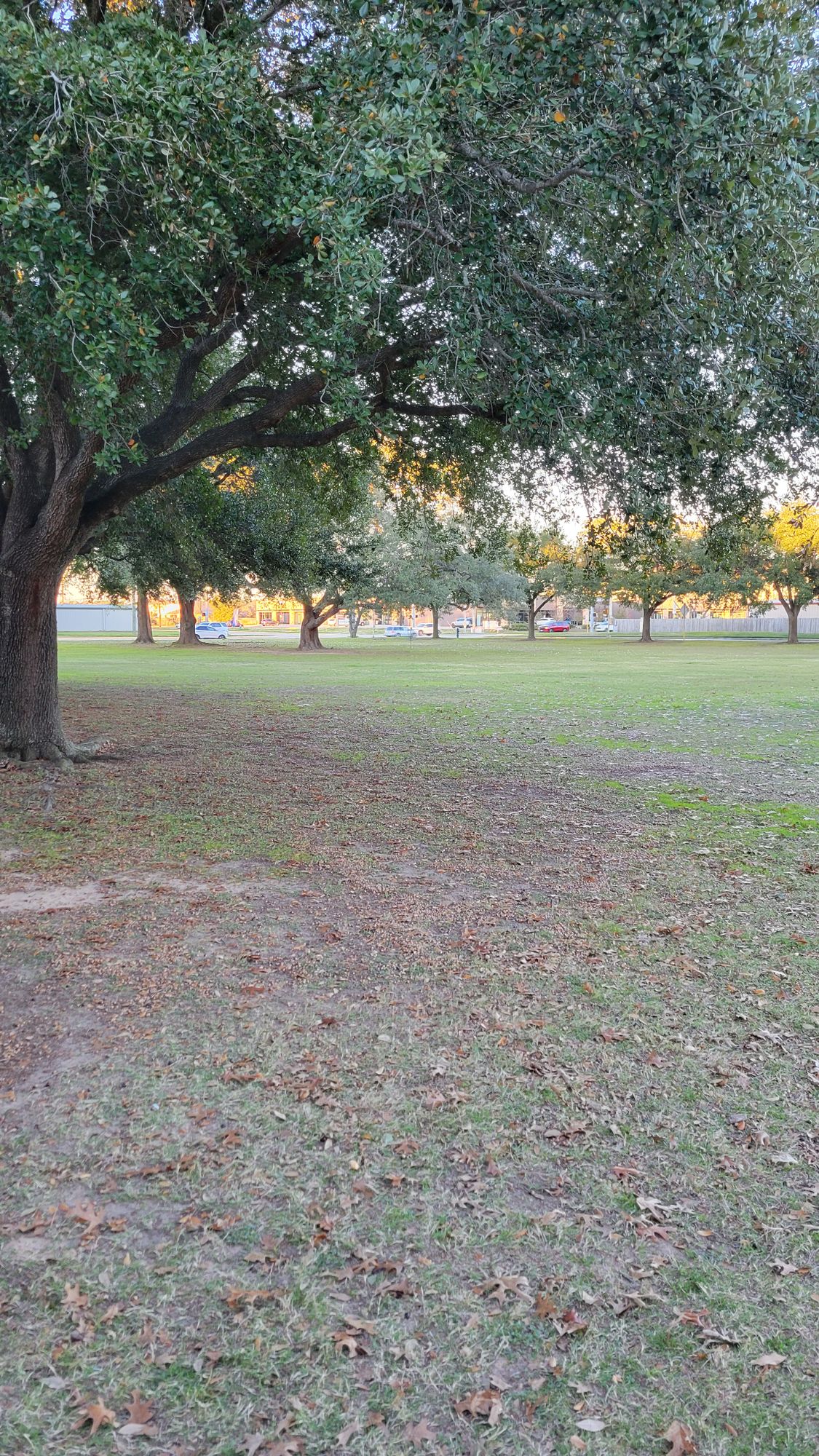 Hole 8