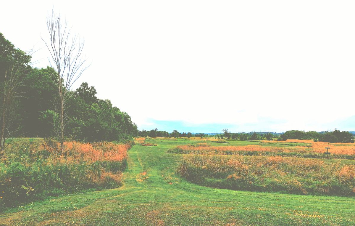 Tee pad 4.