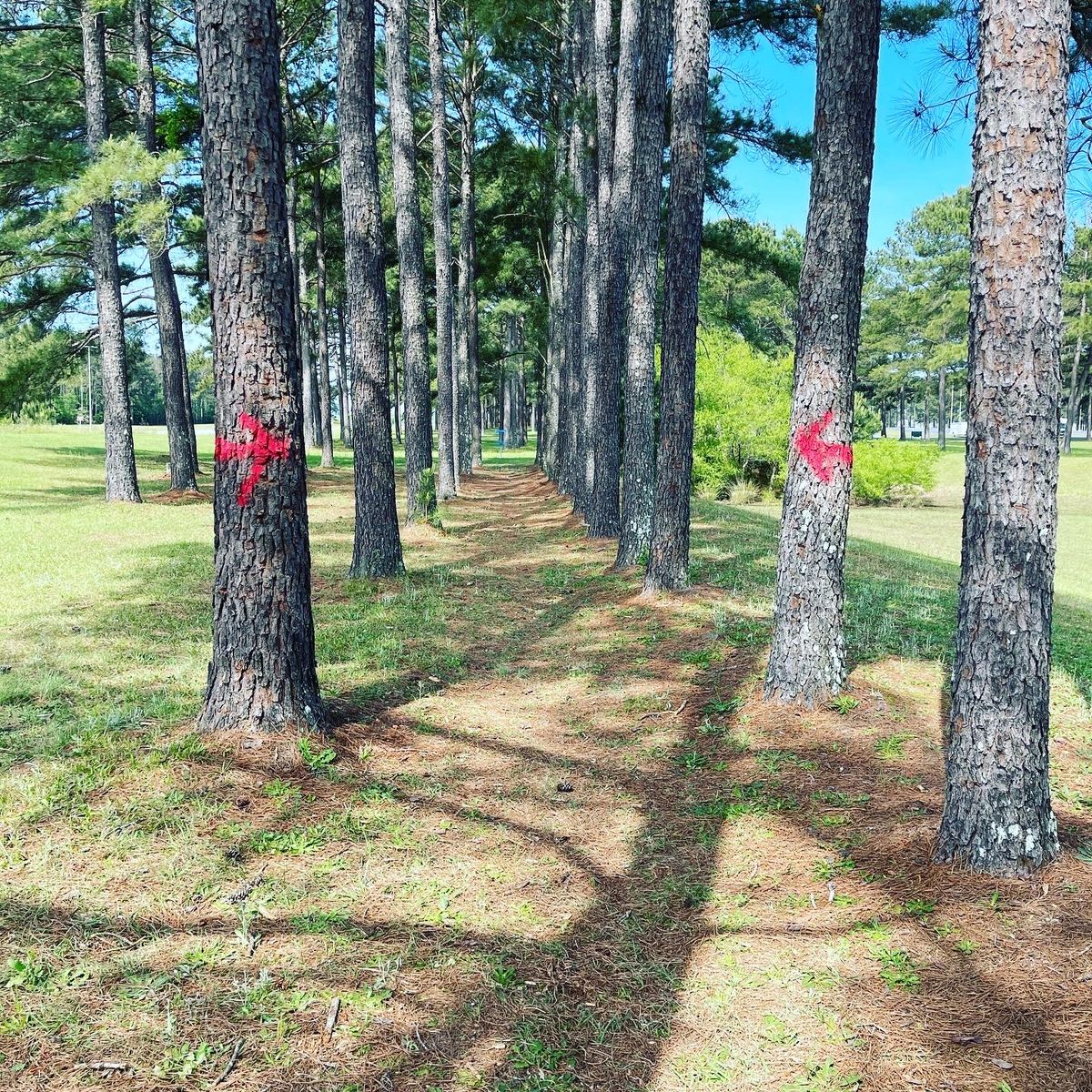 Intermediate course Hole #2. Challenging with a Mando.
