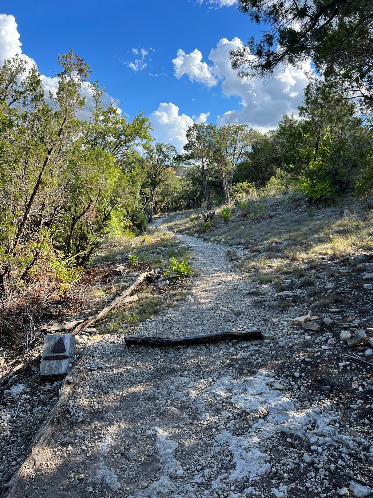 Hole #7 Main Tee