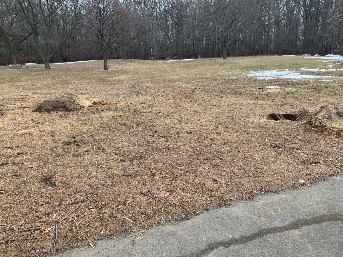 Hole 1 tee. No actual tee or mark on ground.