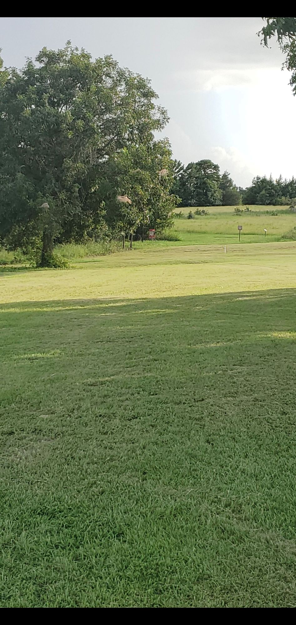 Hole 6