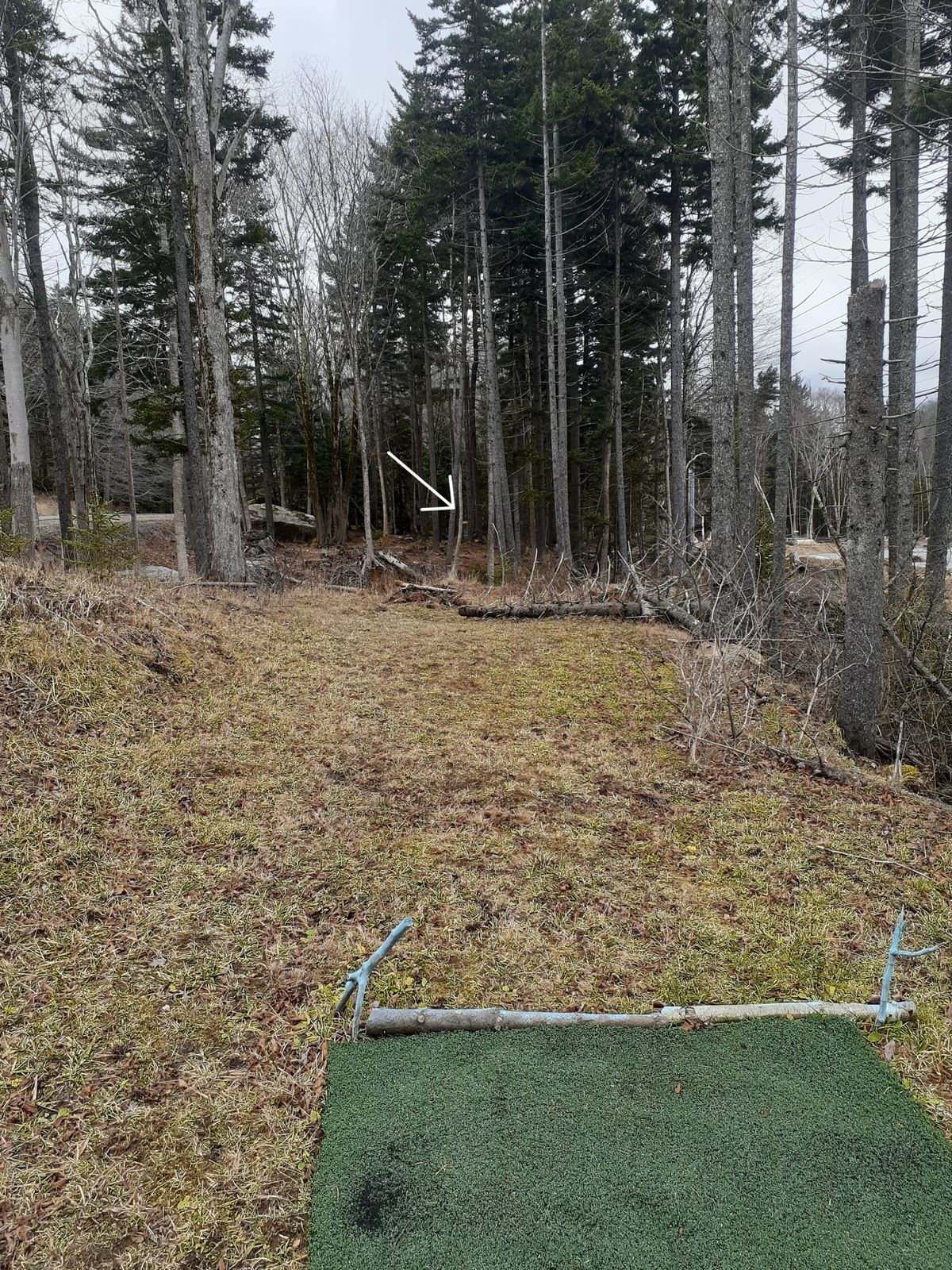 Hole #3