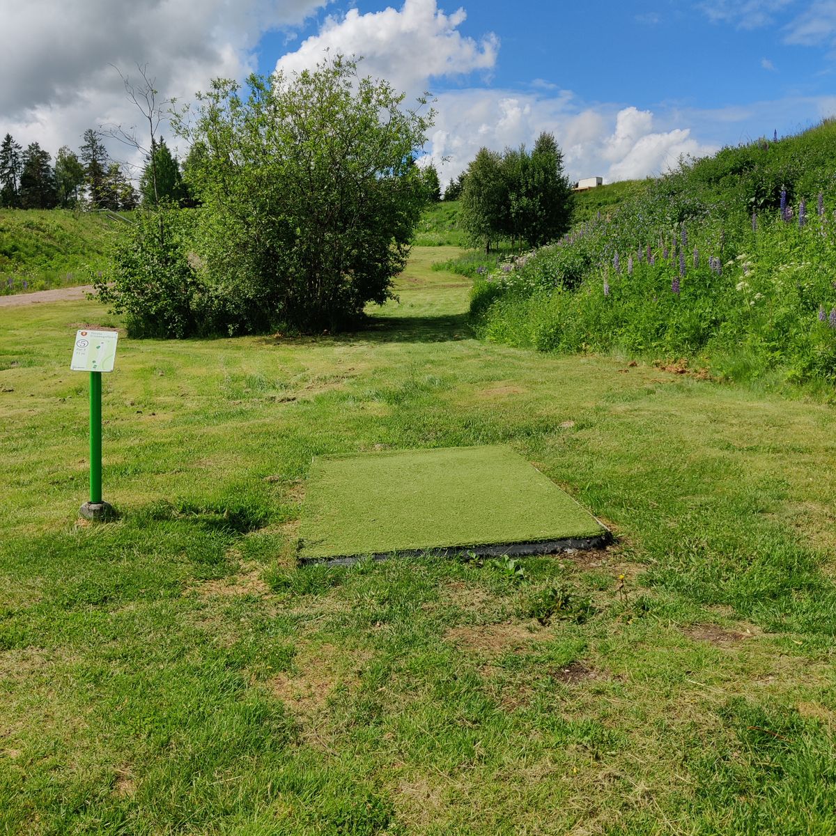 Tee 5