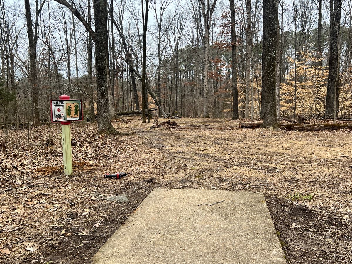 New tee sign and cleaned fairway.