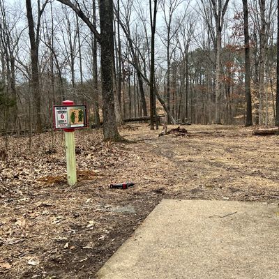 New tee sign and cleaned fairway.