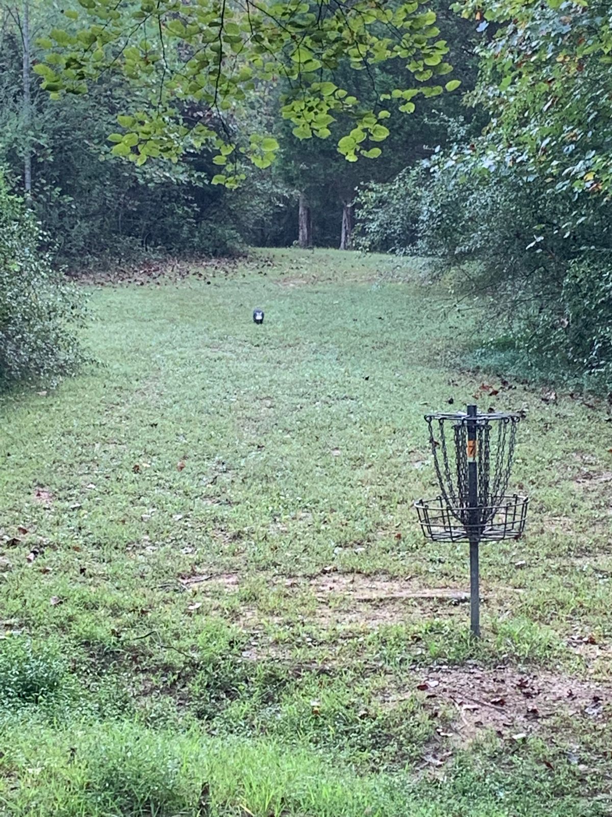 Hole 7 - had a little friend that wanted to join. I respectfully declined