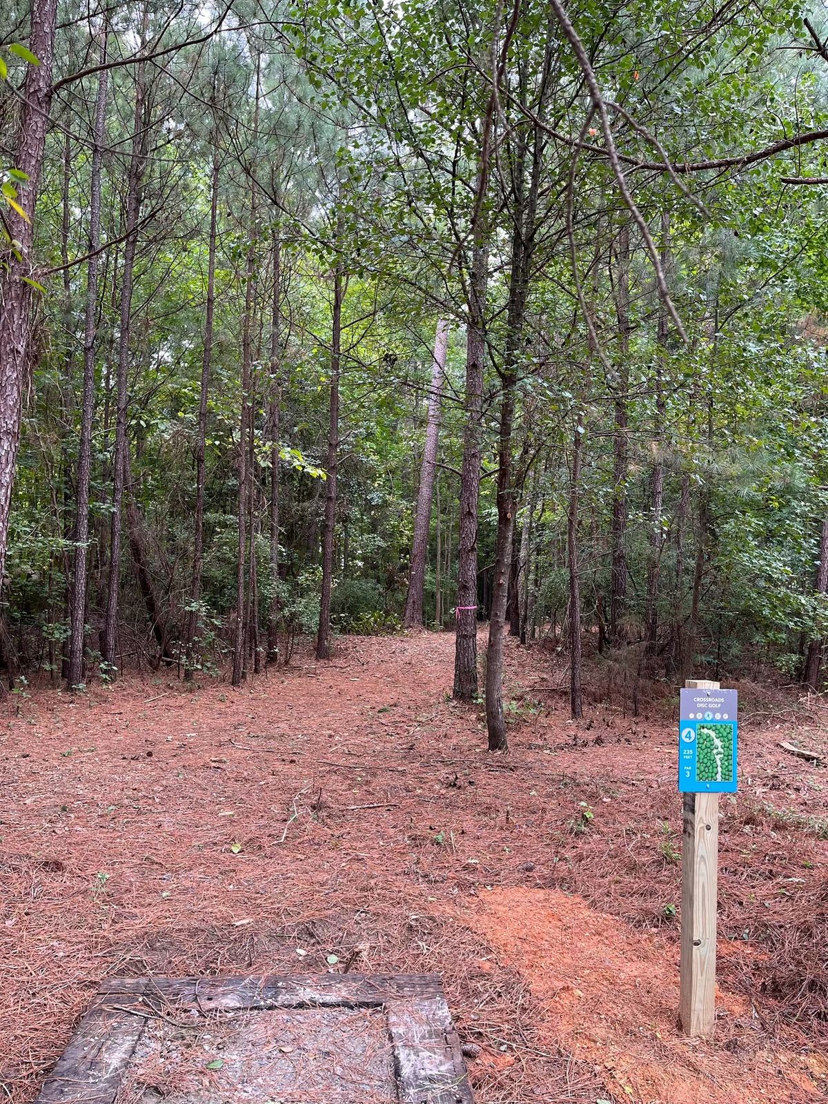 Hole 4