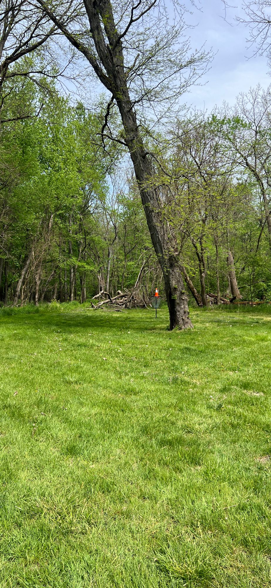 Hole 8