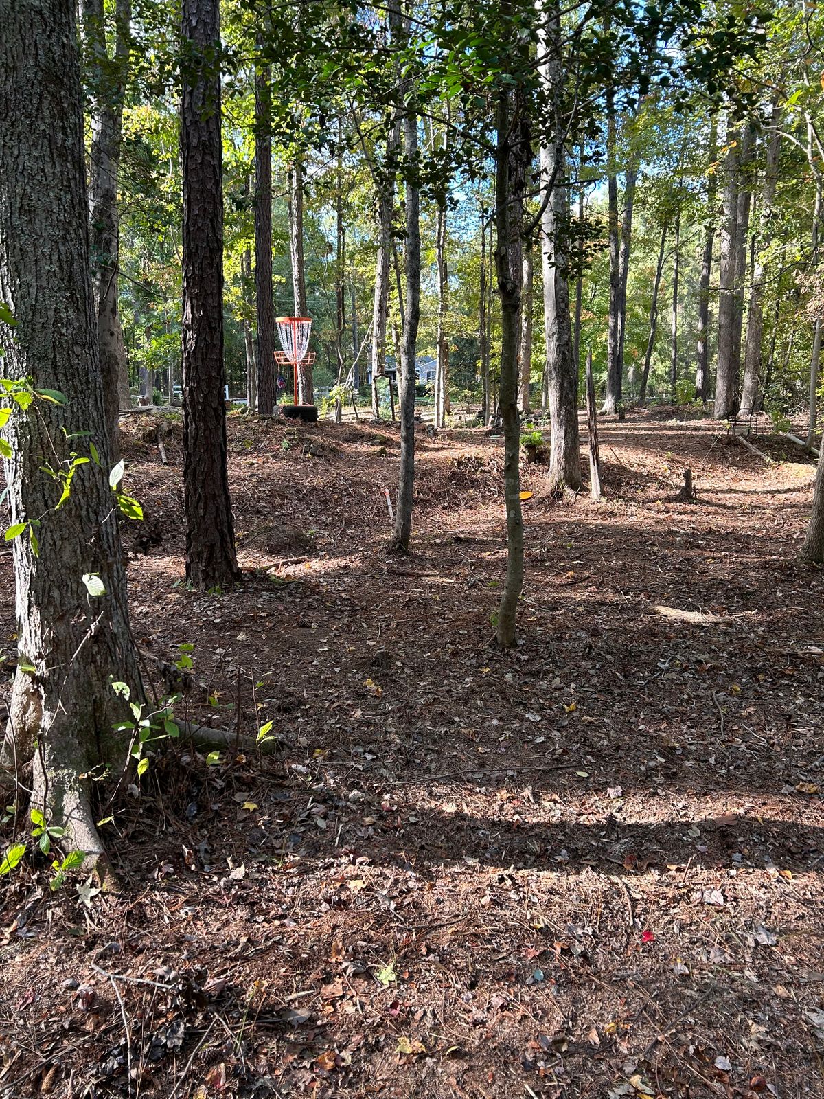 Hole 10