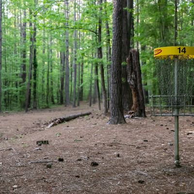 Hole 14 Green