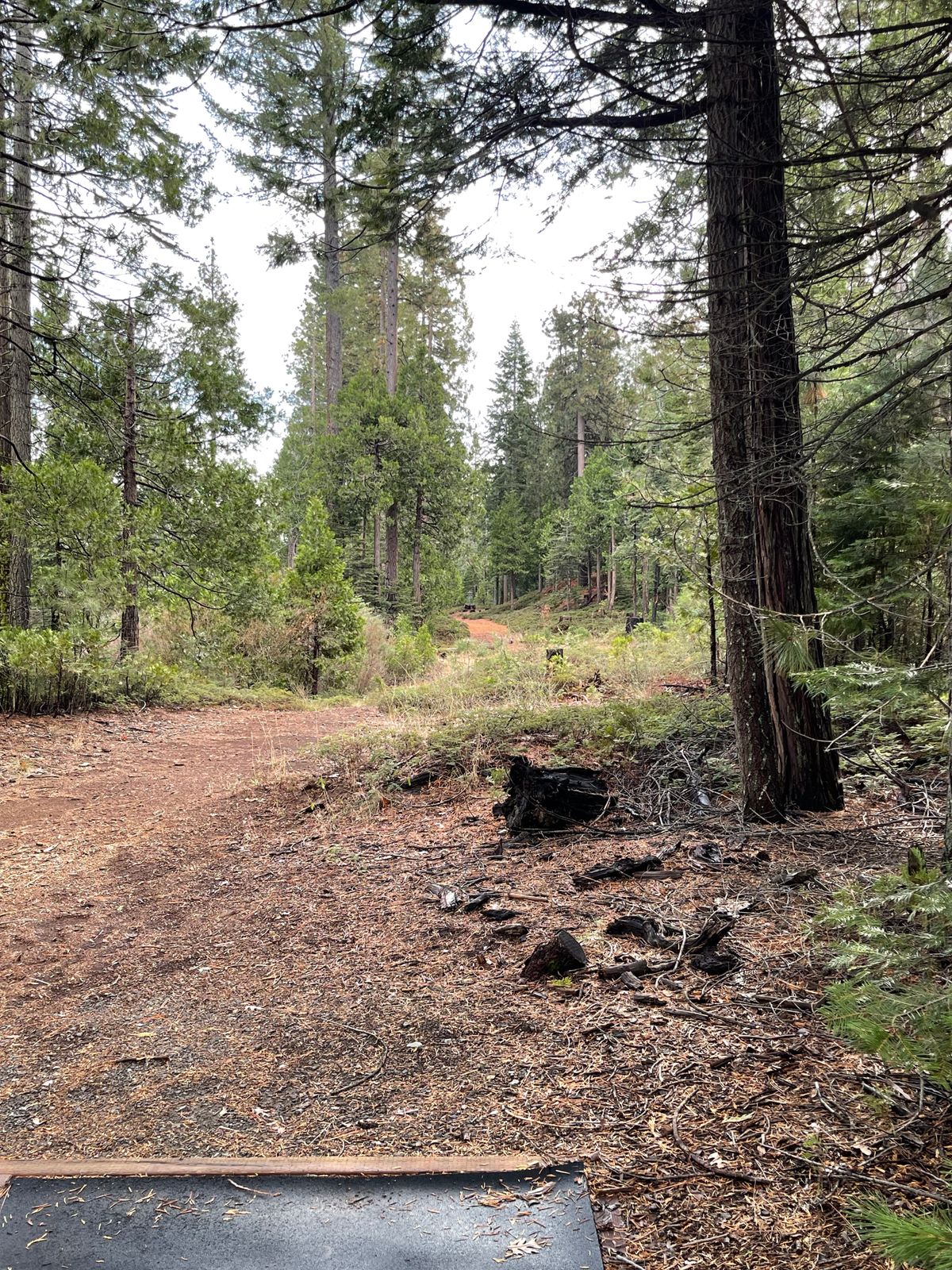 Hole 14 Dec 2023