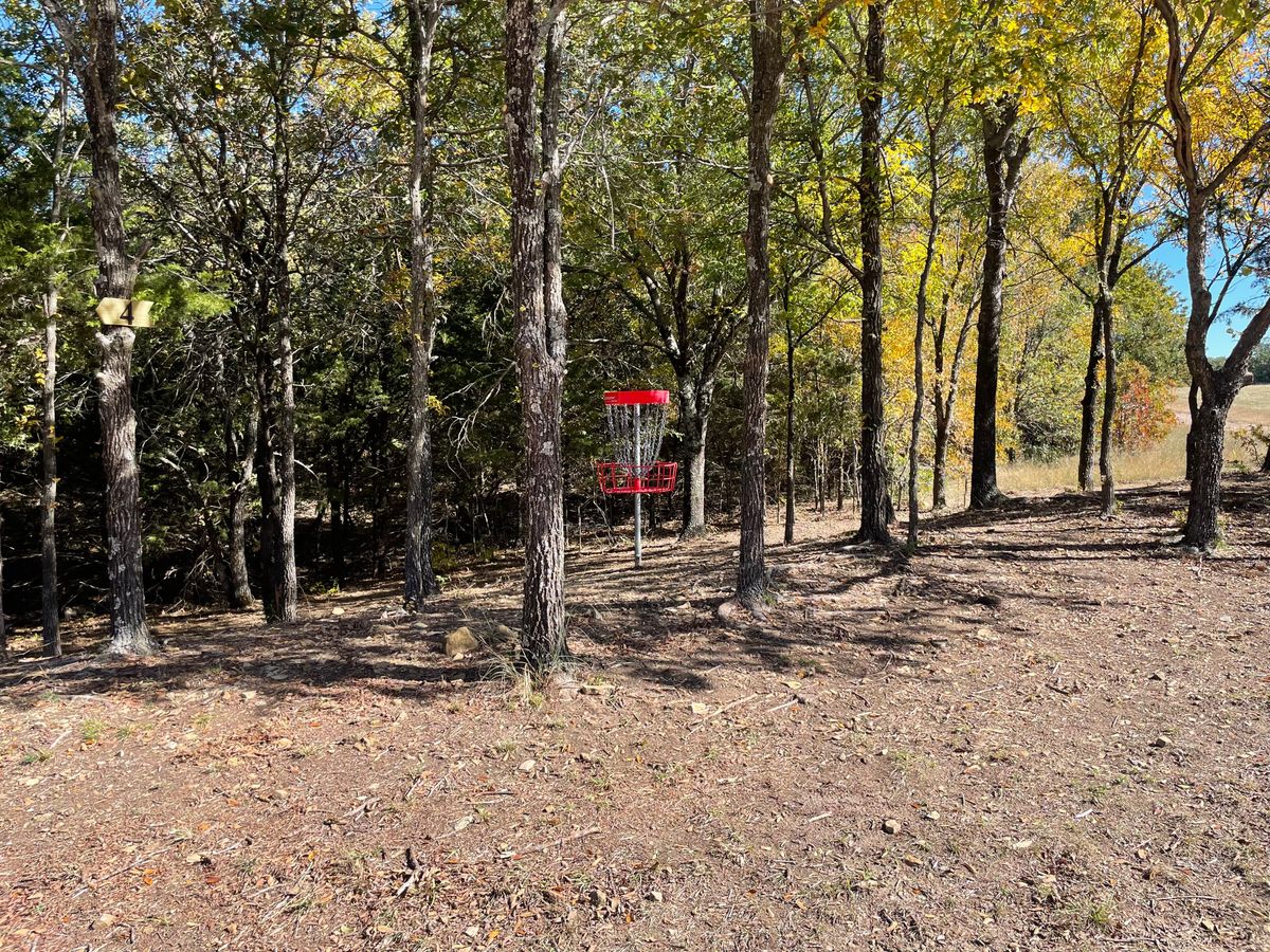 Hole 3 green
