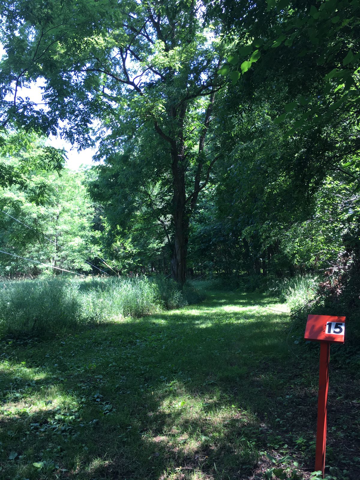 Hole 15