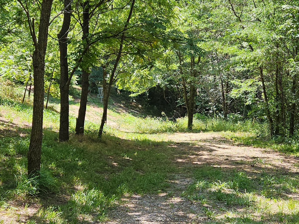 Hole 7
