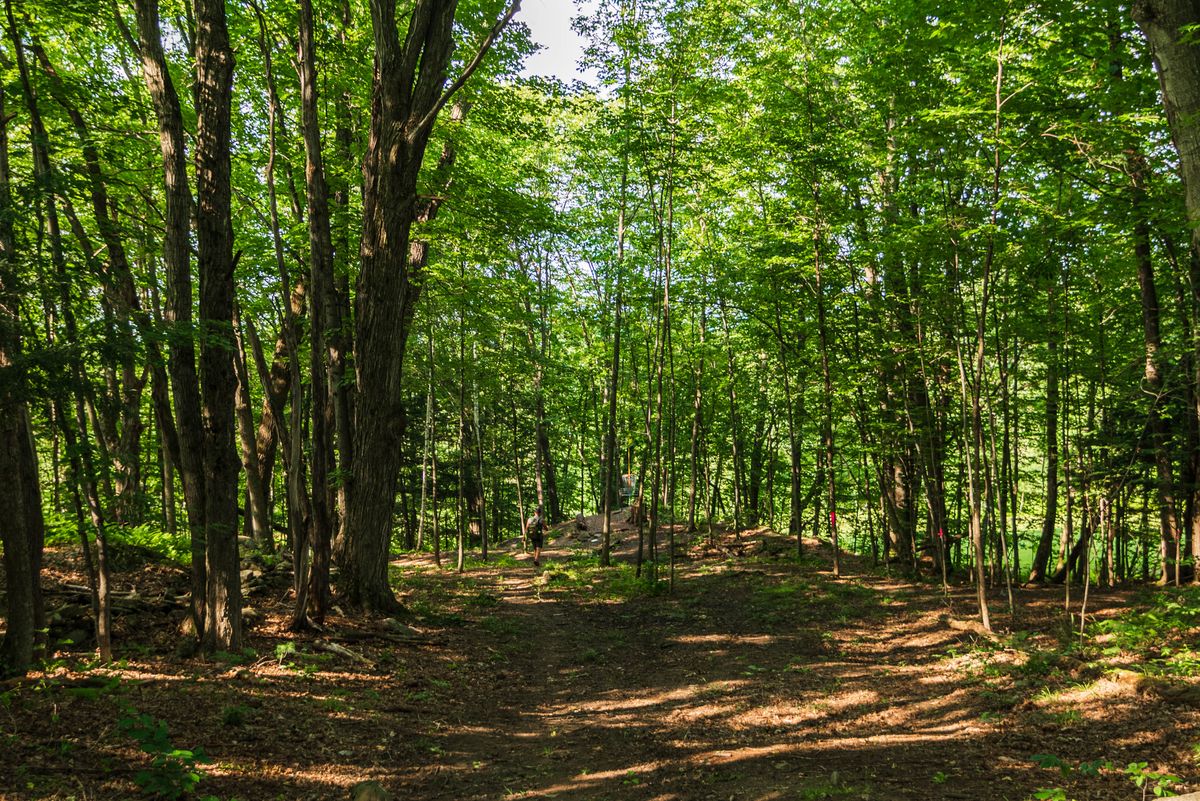 Hole 14