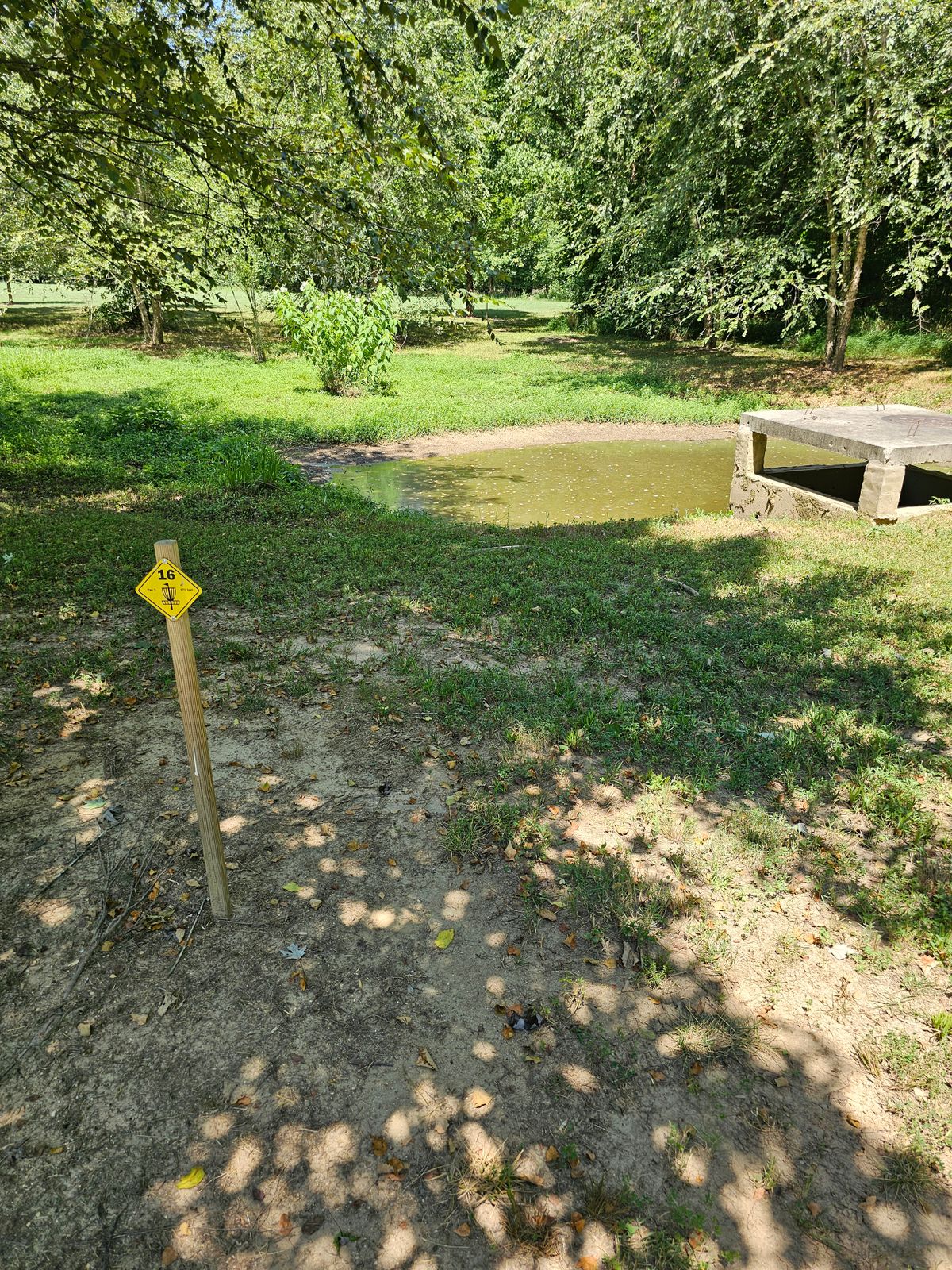 Hole 16 (plays to Hole 3's basket)