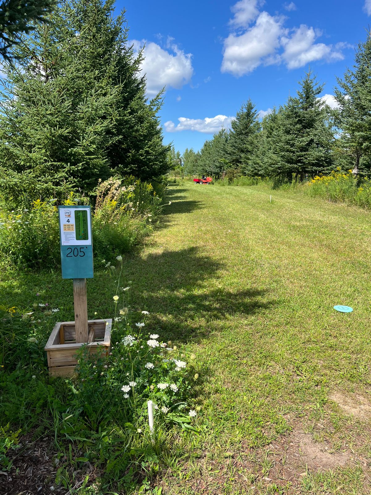 Hole 4 tee
