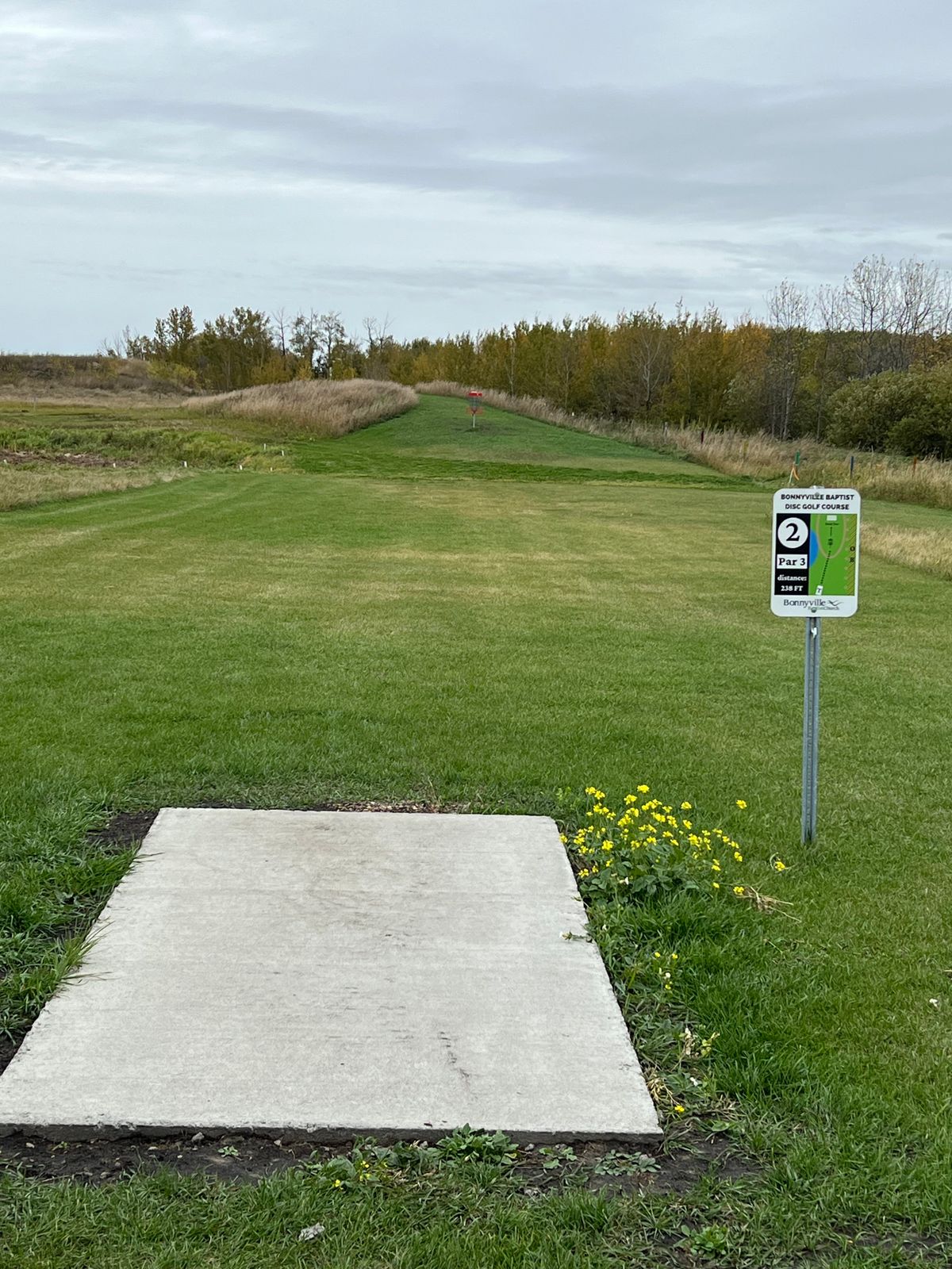 Hole 2 Short Tee
